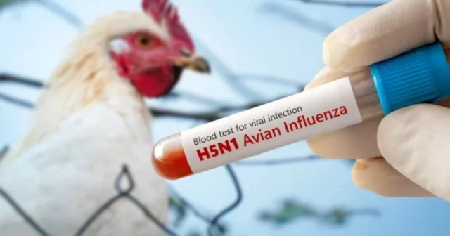 media-1766993582-qus-qripi-xesteliyine-qarsi-epizootoloji-monitorinq-kecirilecek-1764250905