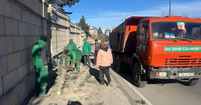 media-1767167129622996136_1200x630