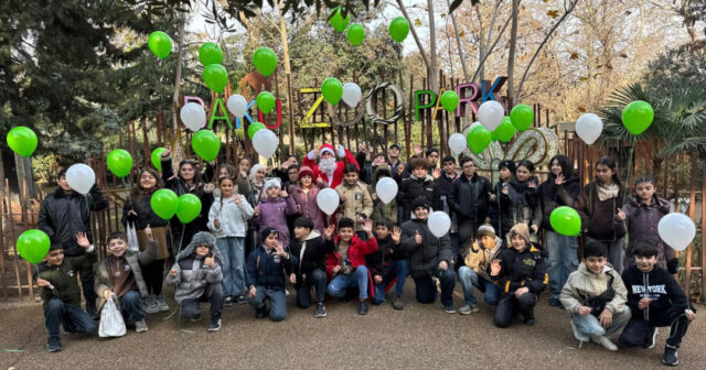 media-17671788323566923386_1200x630