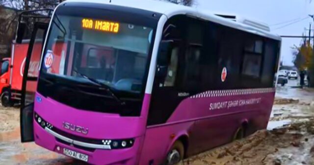 media-1fceb236-e931-4fa4-80fa-3c8b55bc1563