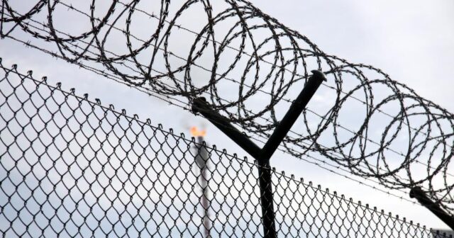 media-207443_13gu0l981g