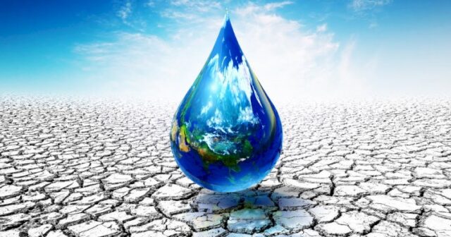 media-3ca4037f-90a5-4877-9cd8-16e33ae52924