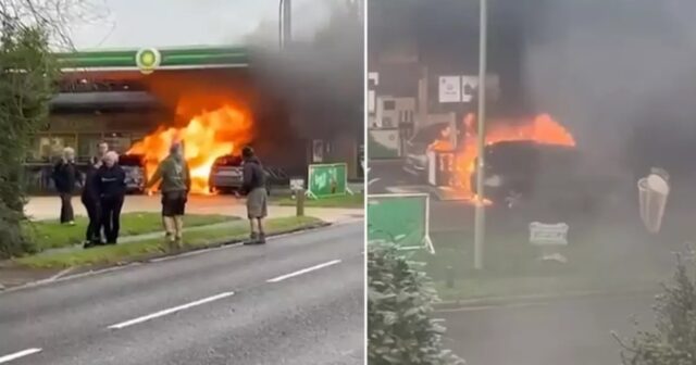 media-509eeb27-2e9c-4d1e-a333-9f025a11391c