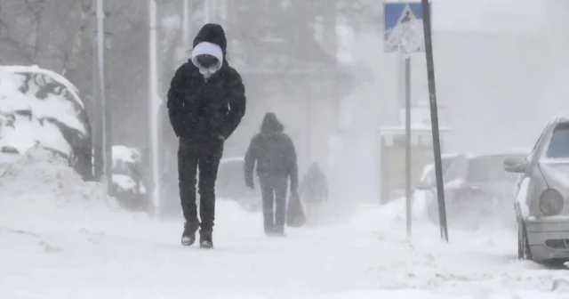 media-556132f6-557b-4d6f-a032-3ce6e3fc0677