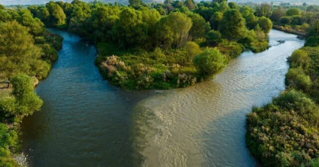 media-594058538_833961852863610_5668185697739105329_n