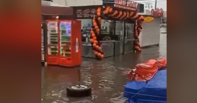 media-597916168_1377554870742562_511007080691772168_n