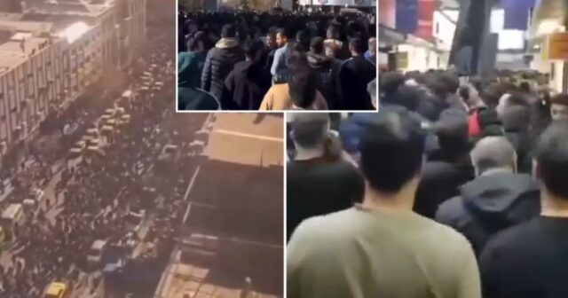 media-5be46f02-8d2a-476a-8d1b-c7ae025c626e