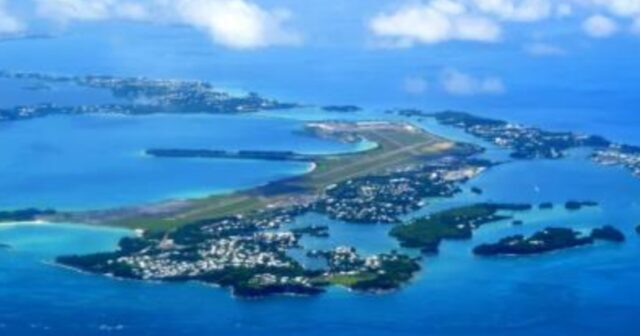 media-62ff6143-4b46-42a8-a9df-1997bd0ef821