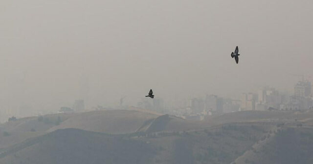 media-6666-1766593876