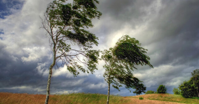 media-68f6362645b3b68f6362645b3c17609661822f3234b8bc5a0c6b04907e19df6fe2c5