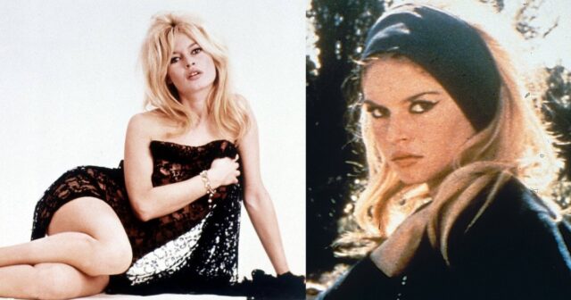 media-77cee2f6-bd15-402a-9a46-fea9d00dce4b