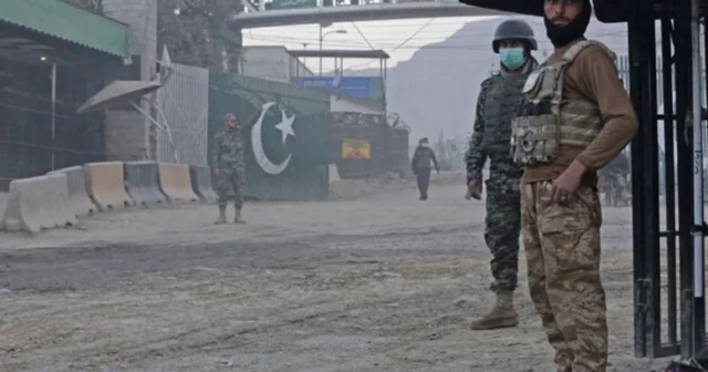 media-7ww3ym-8b4226fef779d07620e3559d955d06e6