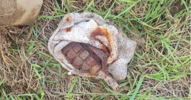 media-mycollages__1_