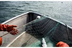 media-o7juze5p9lmnsnc1xlaydvvsc0xaigjlrpifwhbm_825