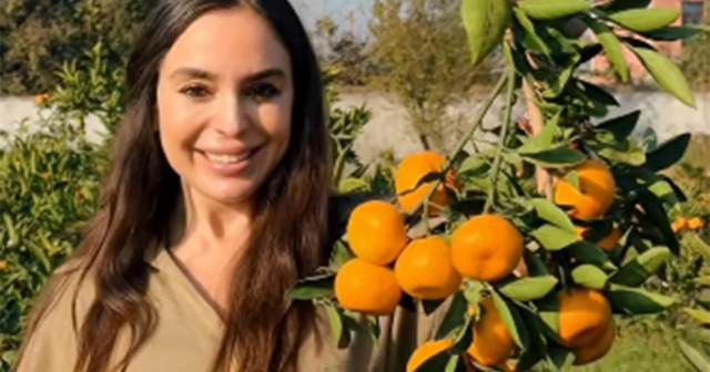 media-screenshot_114