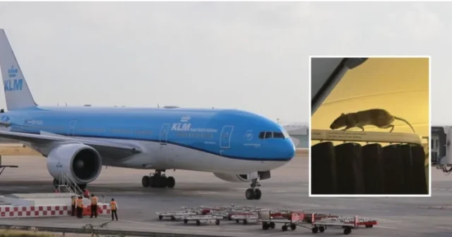 media-screenshot_3-1