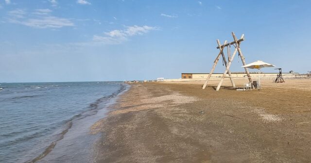 media-whatsappimage2025-12-07at16-33-19_1765110825274_b52va1d8