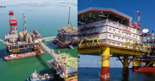 media-x70cjeverd6g2jgi0egjcdgtgff4iznifminheu5_1200-768x403