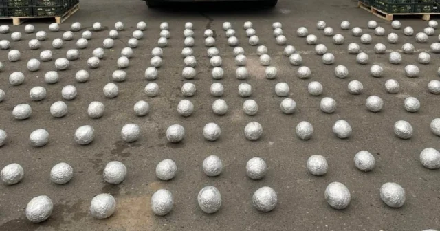 media-a0n159ygtzjgortitzcwu3z32ayea6x3lfrqgefz_825