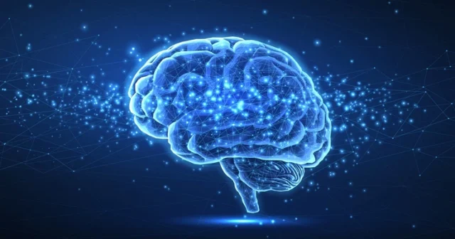 media-csm_20250619_kuenstliche_neuronale_netze_istock_0dbc4585a8