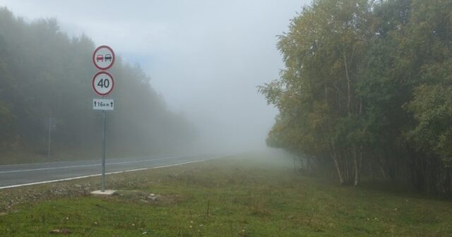 media-envato40-768x432