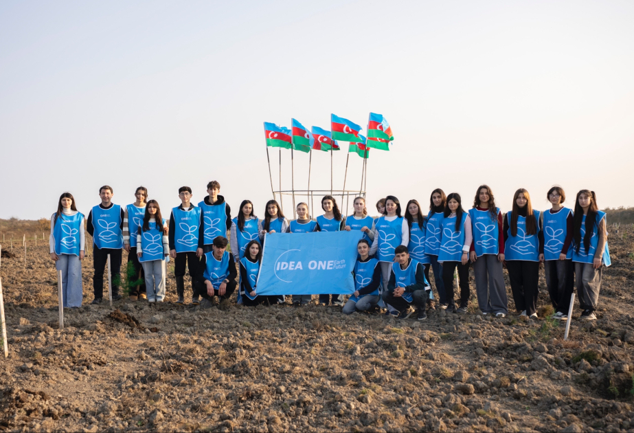 media-idea_xacmaz_user