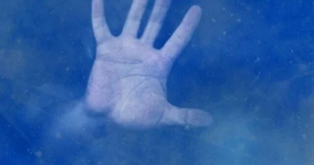 media-photo_5352601180623801280_y