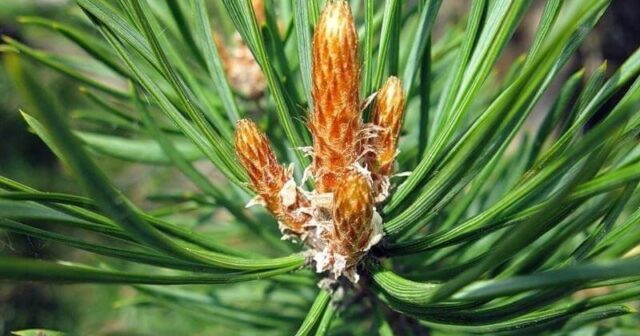 media-photo_5357200957453832719_x