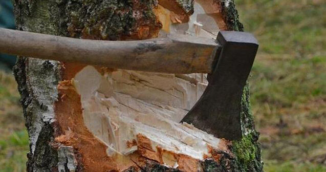 media-teleqraf-com1429014853ingiltere-avropa-ittifaqindan-cixmaq-isteyir-4