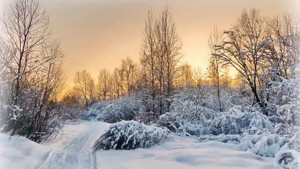 media-vecher-derevnya-doroga-zakat