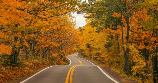 media-vpxrlr0areuzvhkbfc8nlzlzoh9lszzveajq6l6z