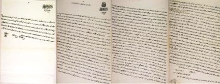 media-031e68a5-48cc-49bc-9275-4be70ec6463d