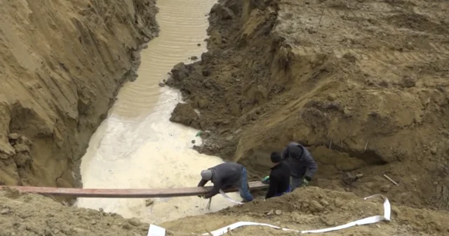 media-13blocdmy5sufieno0twj6l0unhgdvirn6hhevhi_1200