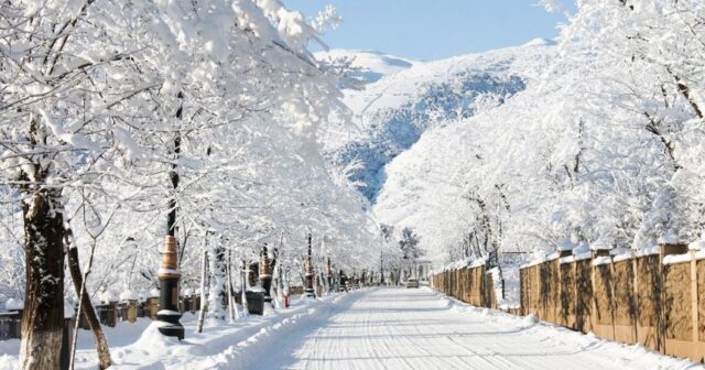 media-1608555757_qis