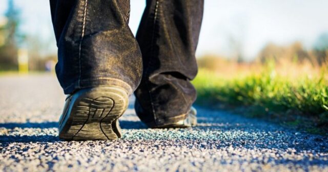 media-1644560657_itkinkisi