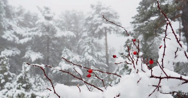 media-1704546529_5cd677455737913698ba160a64af20a1