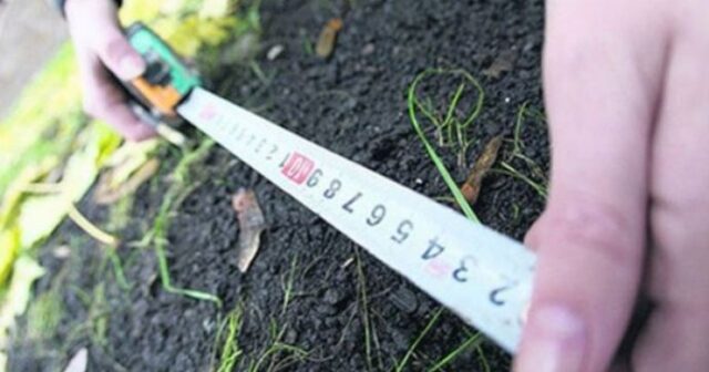 media-1711626168_torpaq_180523_2