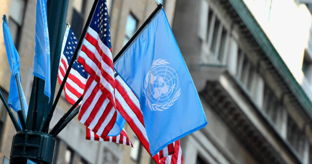 media-1740124825_67a8b27f0363b