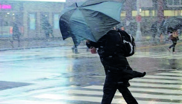 media-17490219002032487245683ff4cc476ea