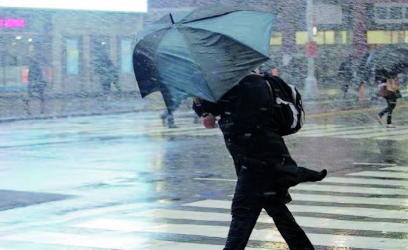 media-17490219002032487245683ff4cc476ea