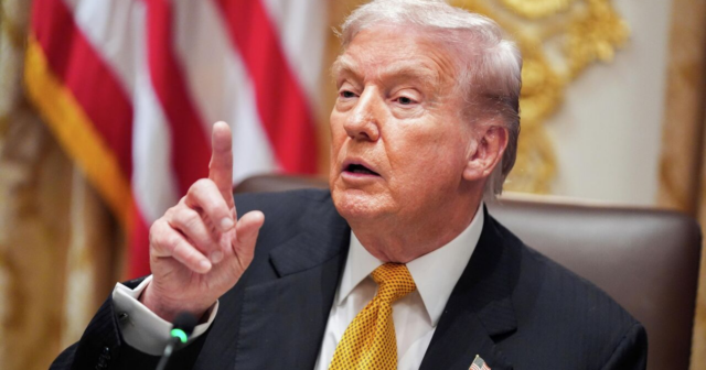 media-176707534277184115969536e0e6ff81