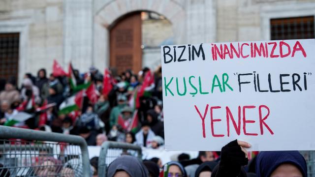 media-1767277512_2428224_2