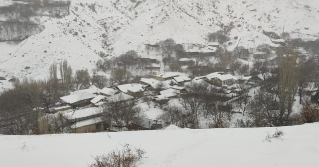 media-1767343495290271294_1200x630