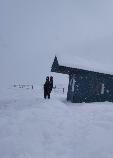 media-176734609530279112_1200x630