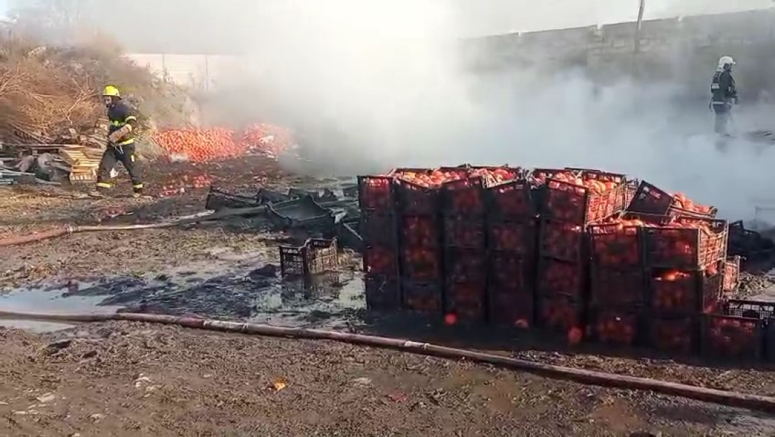 media-17675345542758164023_1200x630