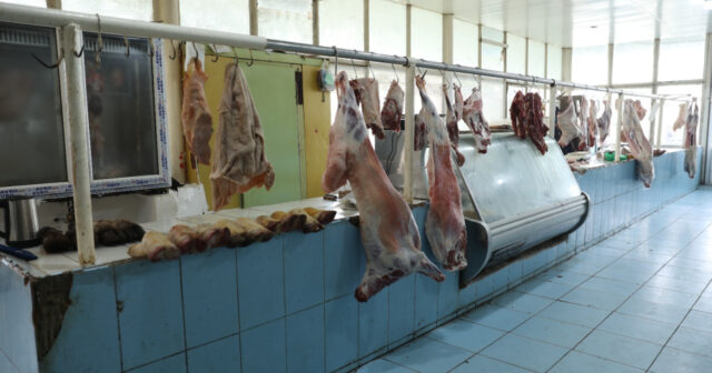 media-17677901994722159479_1200x630