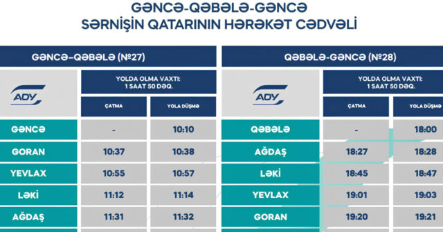 media-17678005565494456903_1200x630