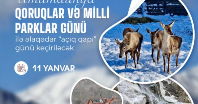 media-1767875020117157891_1200x630