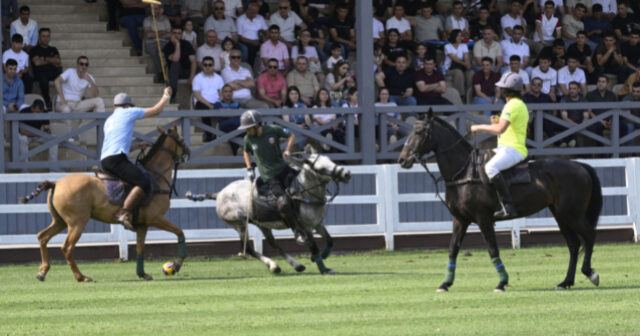 media-17679562584945527705_1200x630