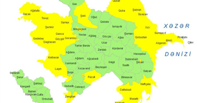 media-17679631315774420076_1200x630